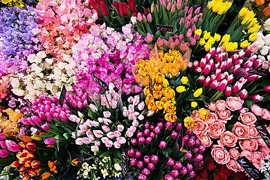 传闻任天堂御用开发商Camelot新作开发进入最终阶段